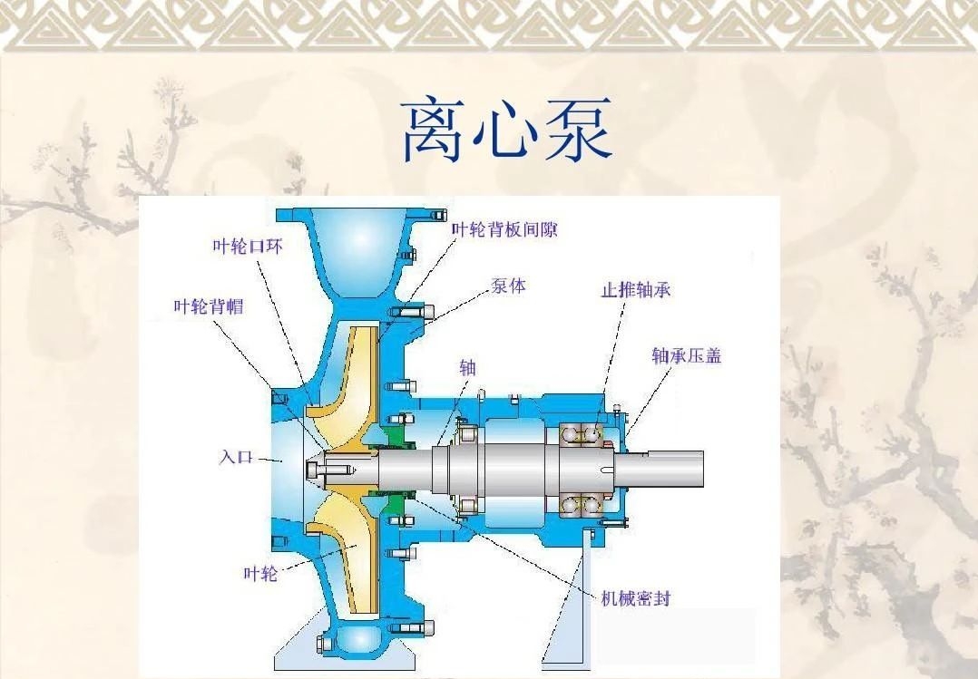 微信图片编辑_20240517151050.jpg